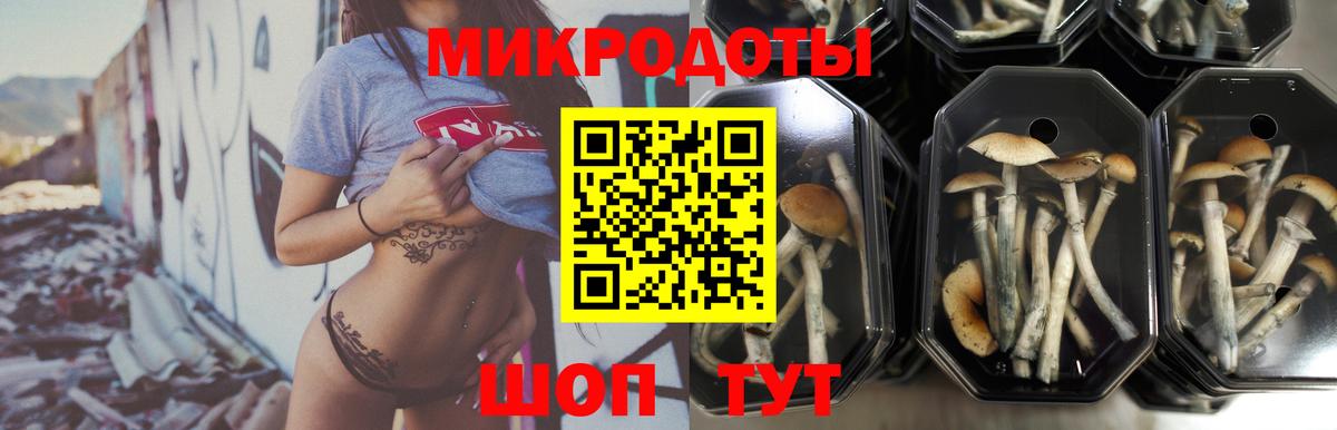 Псилоцибиновые грибы MAGIC MUSHROOMS  Вход с VPN  Берёзовский 