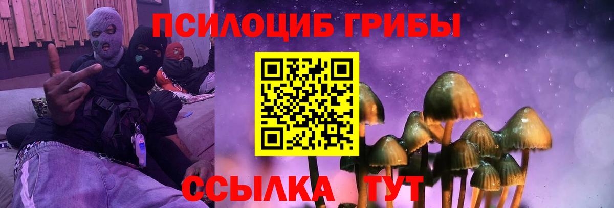 Галлюциногенные грибы мицелий Берёзовский